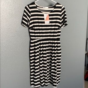 Medium Honey & Lace Windsor dress